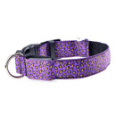 Adjustable LED Light Pet Collar