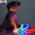 Adjustable LED Light Pet Collar