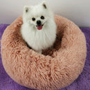 Comfy Calming Dog Beds