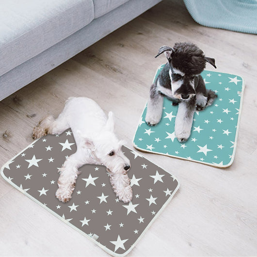 https://spunkiespetstore.com/cdn/shop/products/Urine-Absorbent-Environment-Protect-Diaper-Mat-Waterproof-Reusable-Training-Pad-Dog-Car-Seat-Cover-Washable-Dog_530x.jpg?v=1584476808